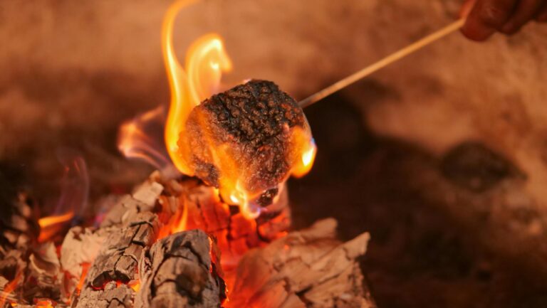 Outdoor Oasis Upgrade: Enhancing Your Summer Nights With Fire Pit Functionality & Ambiance